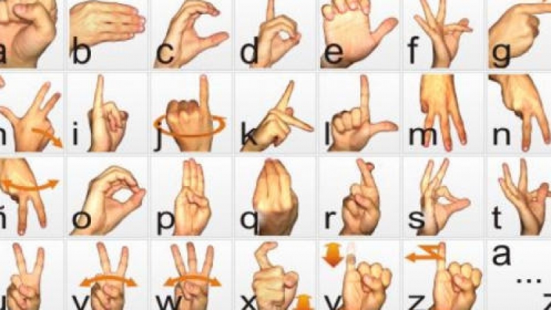 Imagen descriptiva del curso 'Curso lengua de signos español '