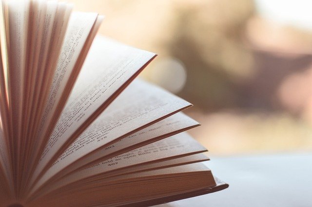 Imagen descriptiva de la noticia '¿Cómo mejorar tu velocidad de lectura para estudiar mejor?'