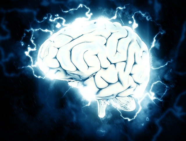 ¿Cómo entrenar tu cerebro para que el estudio no sea un suplicio?