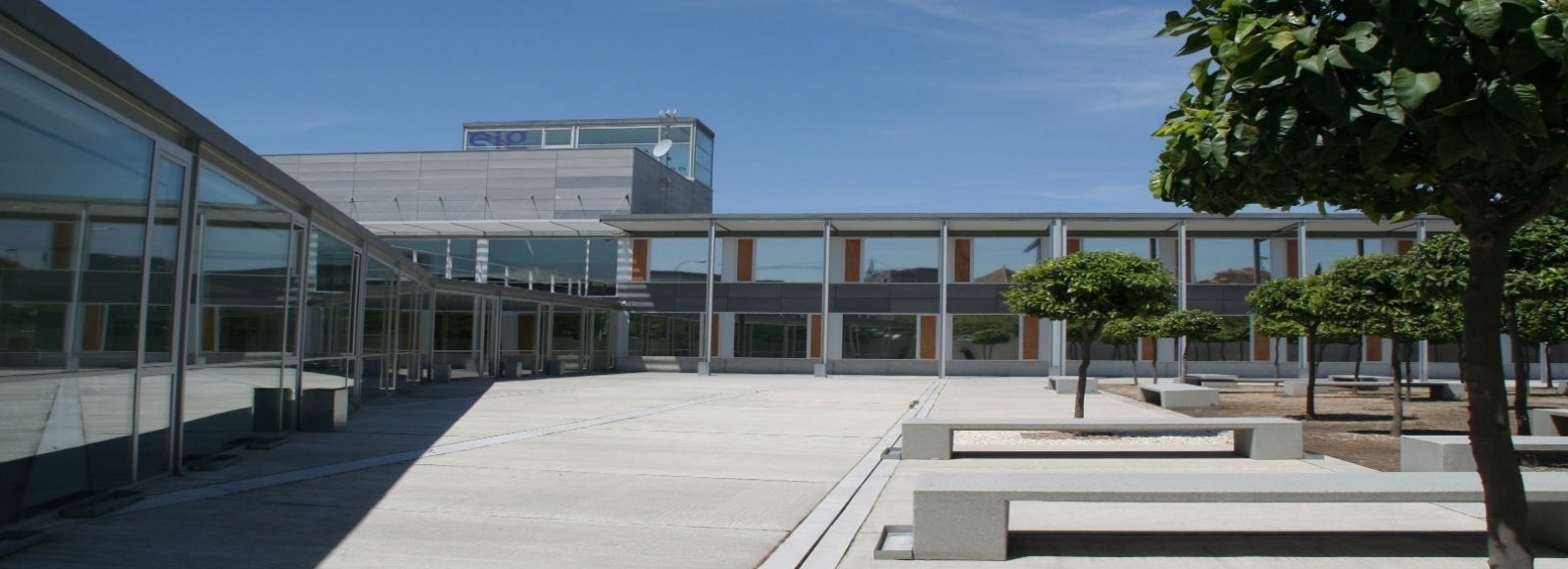 ¿Qué es un grado universitario?