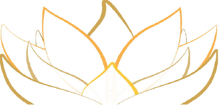 imagen promocional del curso ILUSTRACIÓN VECTORIAL. ILLUSTRATOR CS4
